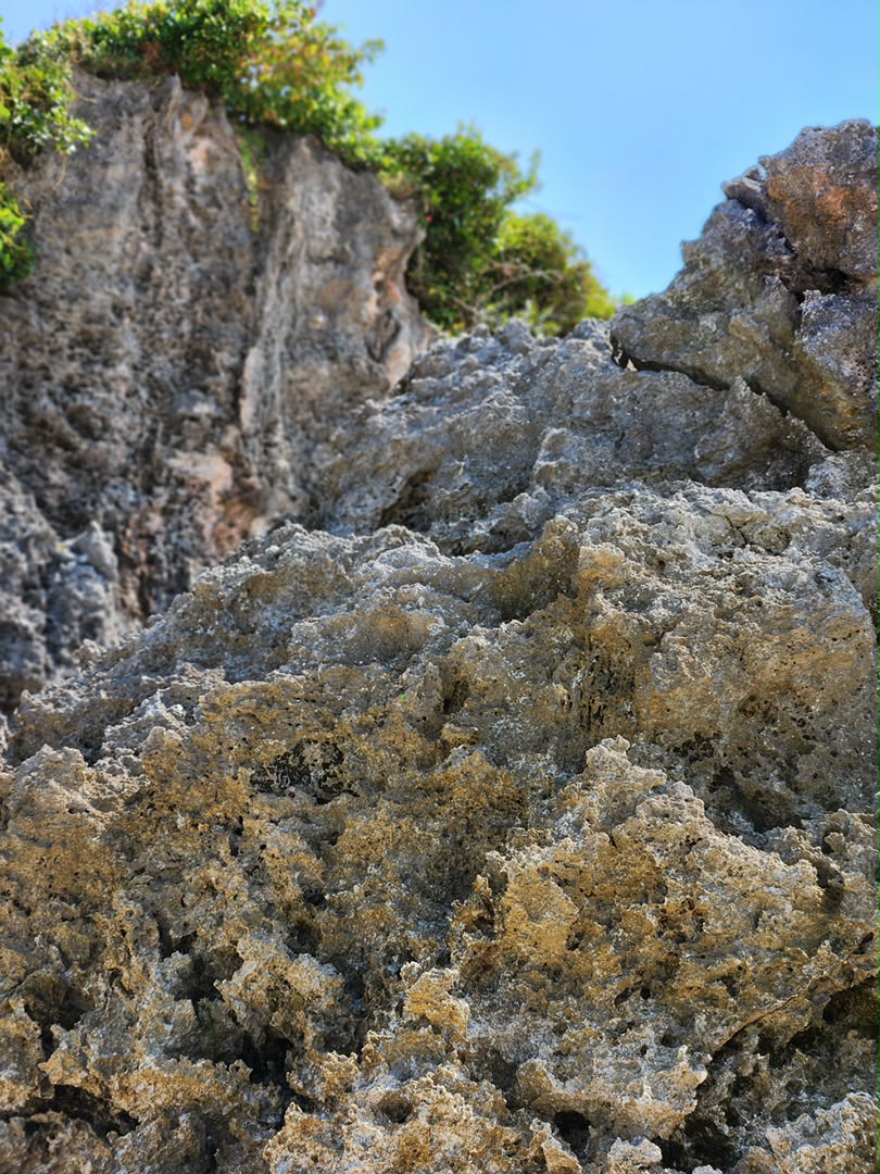 Mnemba Island