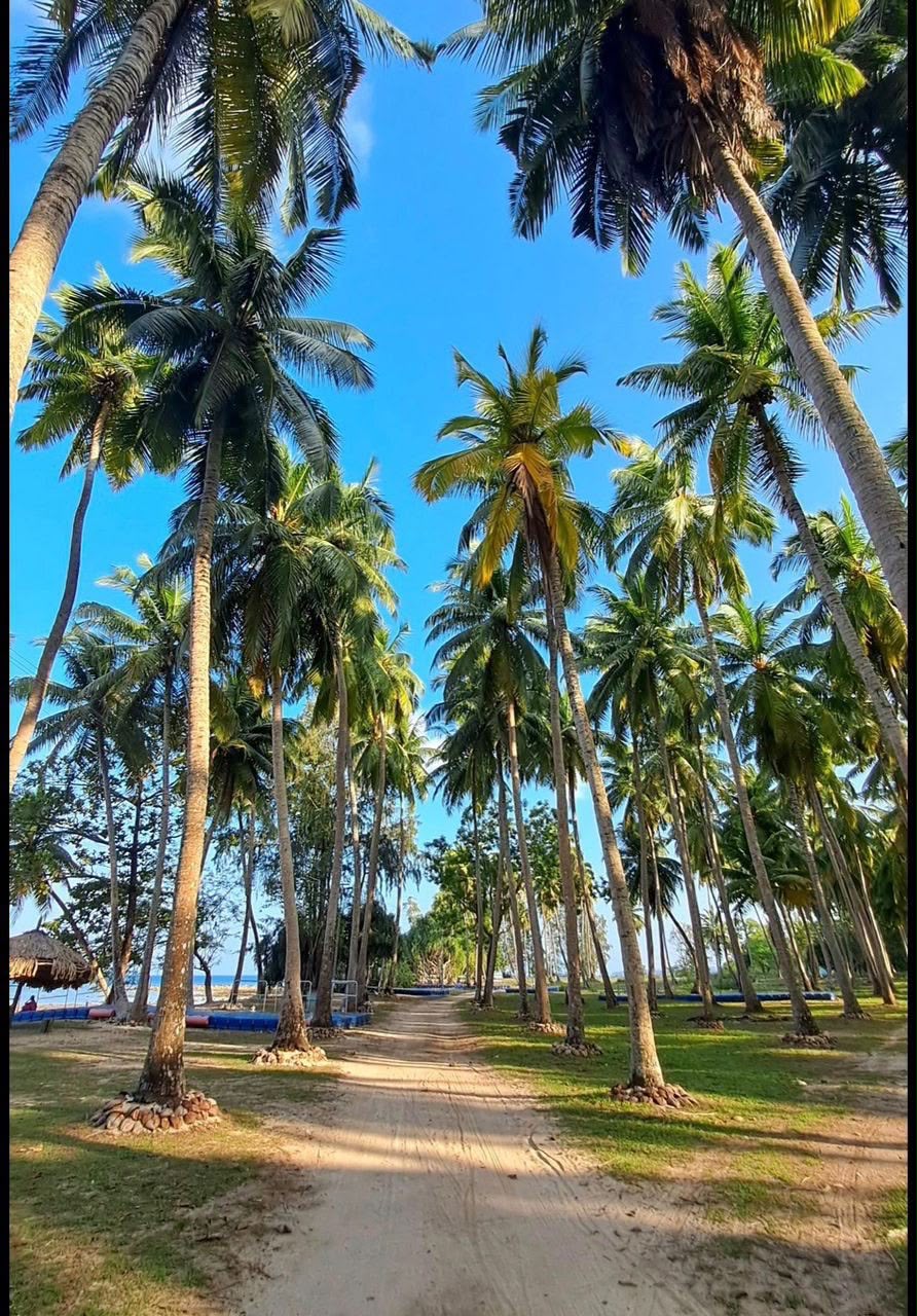 Mnemba Island