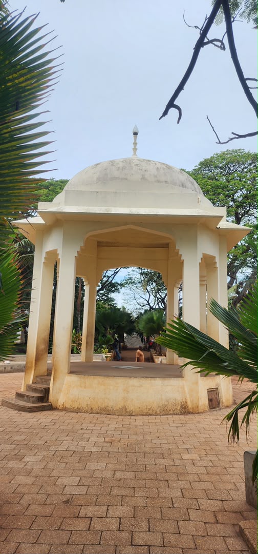 Mnemba Island