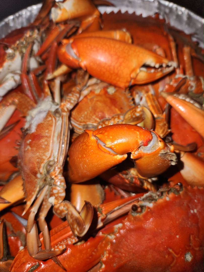 Seafood